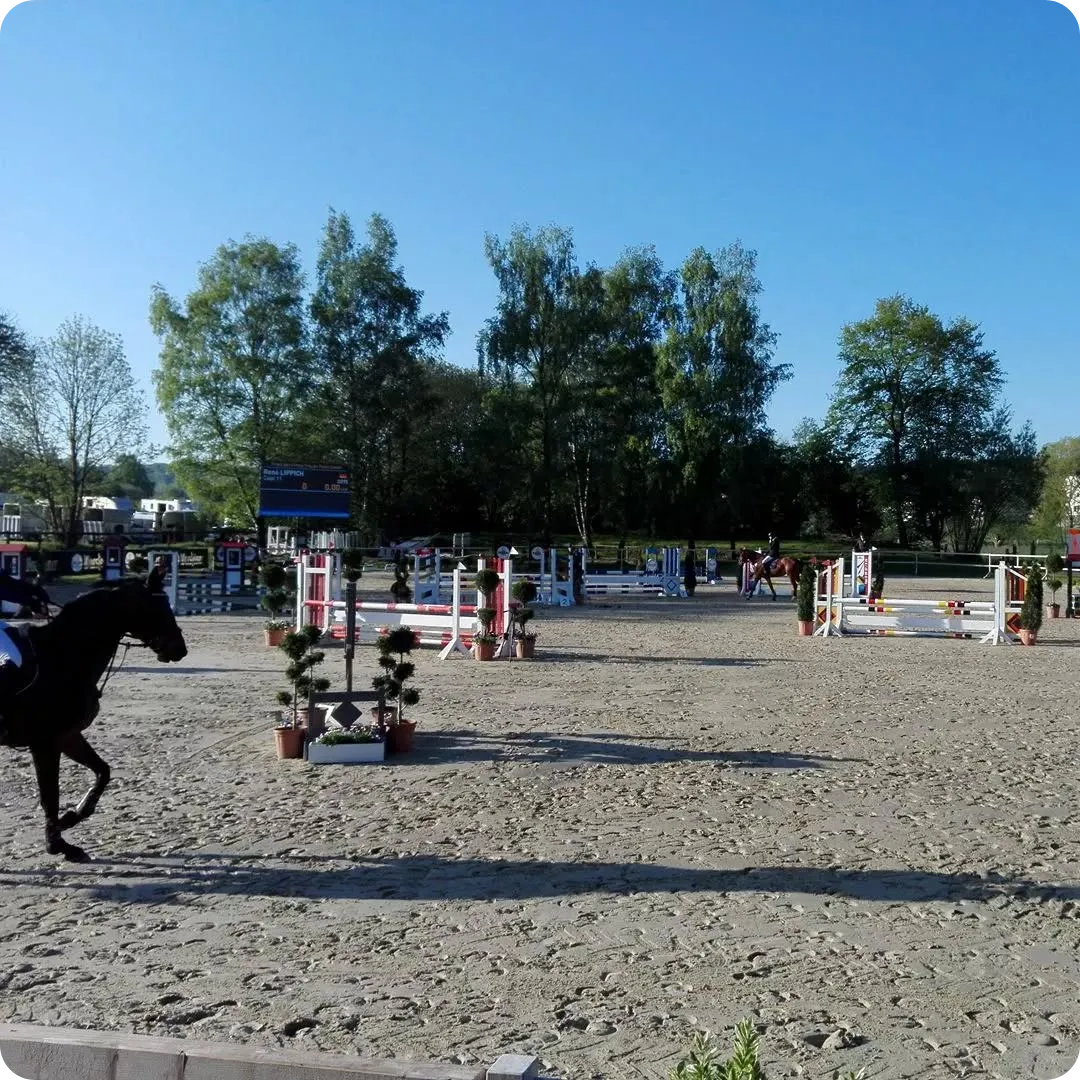 ZRF Haar-Möhne Impression 2